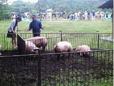 06-10-5-chiiki.jpg
