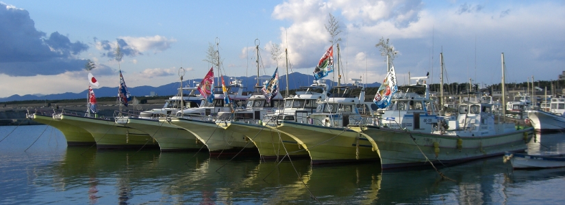 CIMG2537.jpg